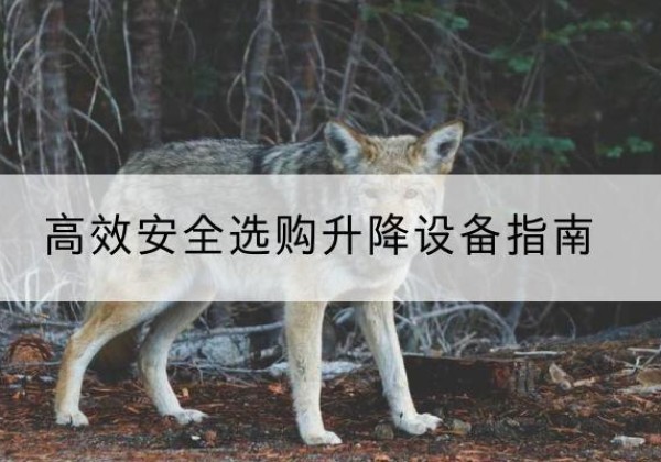 双桥升降货梯厂家推荐-*安全选购升降设备指南
