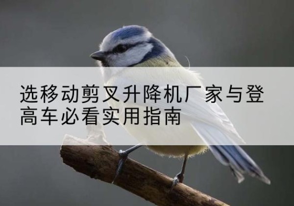 双桥电动升降机厂家-选移动剪叉升降机厂家与登高车必看实用指南