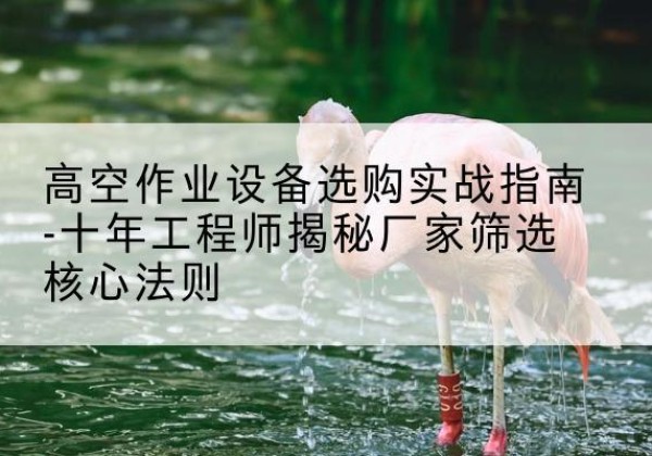 双桥剪叉式升降机厂家-高空作业设备选购实战指南-十年工程师揭秘厂家筛选核心法则